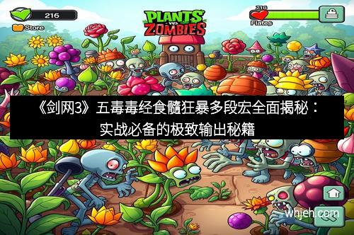 《剑网3》五毒毒经食髓狂暴多段宏全面揭秘:实战必备的极致输出秘籍